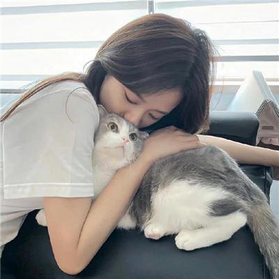 超完美社区